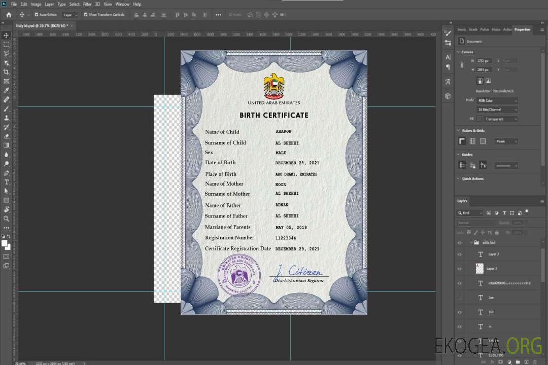 Modèle PSD de certificat de naissance de l'état civil des Émirats arabes unis template